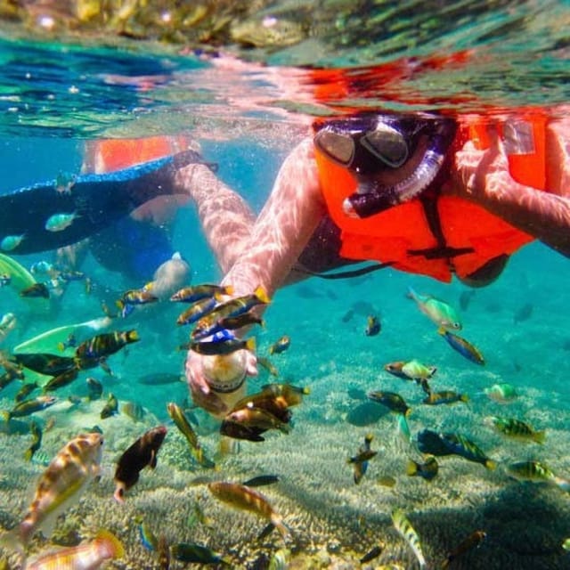 Blue Lagoon Snorkling and Bat Temple - Itinerary