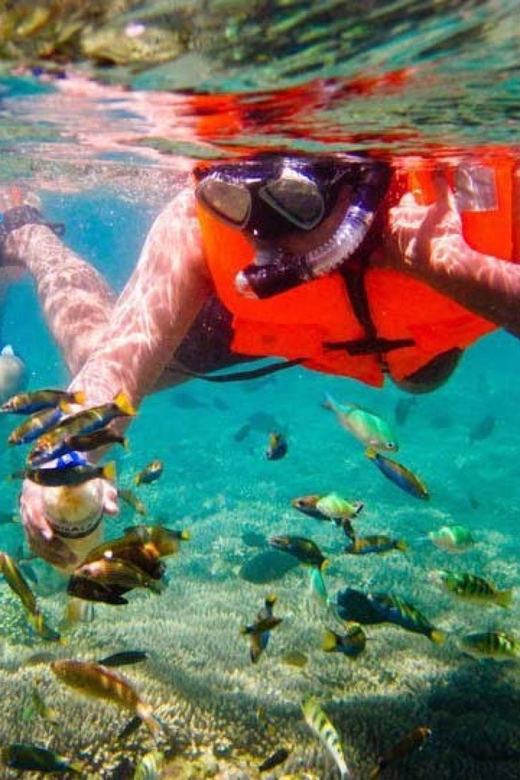 Blue Lagoon Snorkling and Bat Temple - Highlights