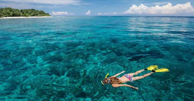 Blue Lagoon SUP Tour , Snorkel Adventure and Lunch - Itinerary