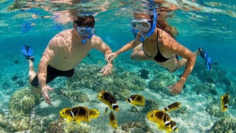 Blue Lagoon SUP Tour , Snorkel Adventure and Lunch - Inclusions