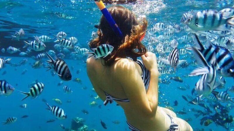 Blue Lagoon SUP Tour , Snorkel Adventure and Lunch - Meeting Point