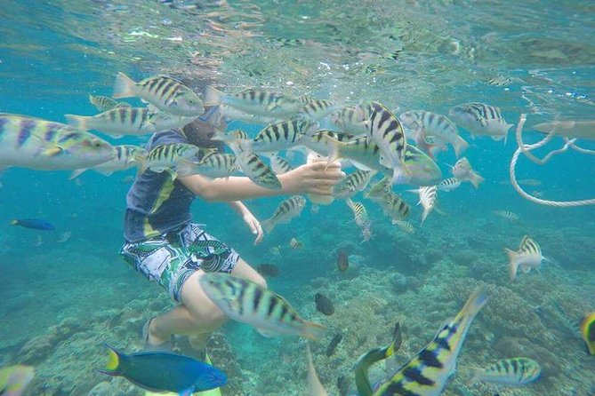 Blue Lagoon & Tanjung Jepun Snorkeling Private Tour - Pickup and Dropoff Times