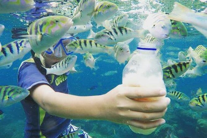 Blue Lagoon & Tanjung Jepun Snorkeling Private Tour - Marine Life Spotting