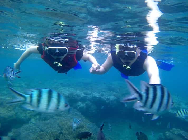 BLUE LAGOON & TANJUNG JEPUN SNORKELING TRIP WITH MEAL - Key Points