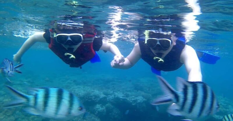 BLUE LAGOON & TANJUNG JEPUN SNORKELING TRIP WITH MEAL - Booking Information