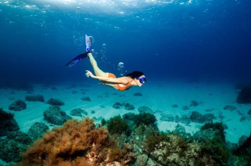 BLUE LAGOON & TANJUNG JEPUN SNORKELING TRIP WITH MEAL - Inclusions