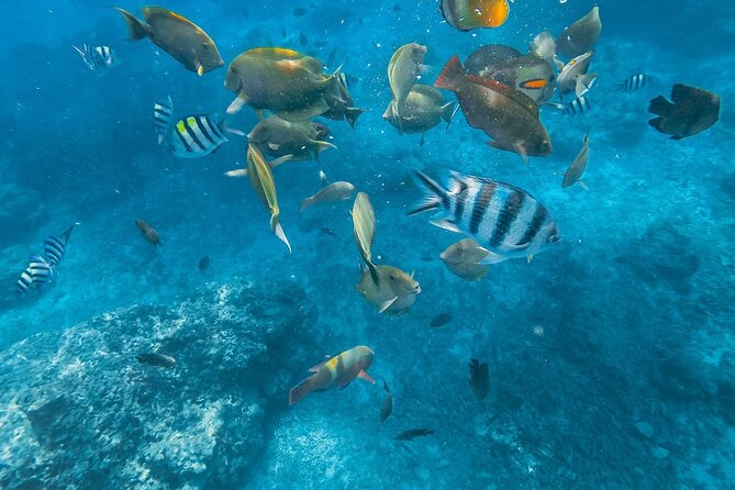 Blue Lagoon & Tanjung Jepun Snorkeling With Kanto Lampo Waterfall and Monkey Bar - Included Amenities
