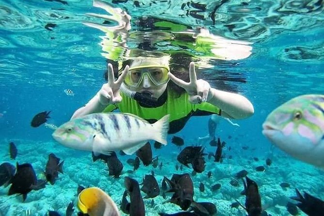 Blue Lagoon & Tanjung Jepun Snorkeling With Kanto Lampo Waterfall and Monkey Bar - Snorkeling in Tanjung Jepun and Blue Lagoon