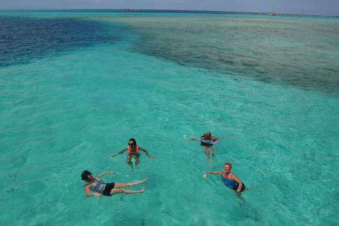 Blue Mango Hole (Healing Hole) - Marine Life Observations
