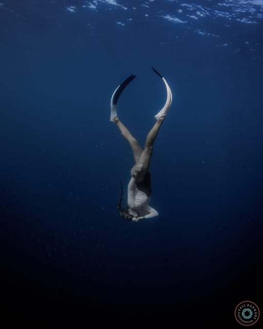 BLUE MIND : Freediving - Snorkeling - Paddle and More - Guided Tour Experience