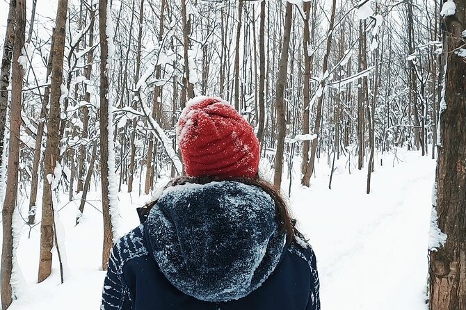 Blue Mountain and Scenic Caves of Collingwood - Snowshoeing at Blue Mountain