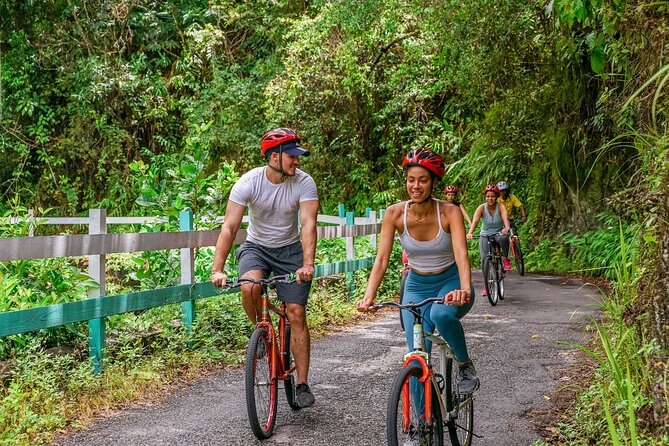Blue Mountain Bicycle Tour - Scenic Biking Adventure