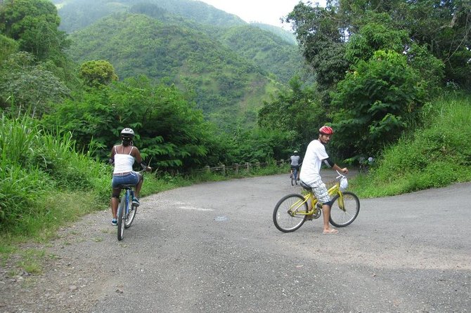 Blue Mountain Bicycle Tour From Kingston - About Your Stay