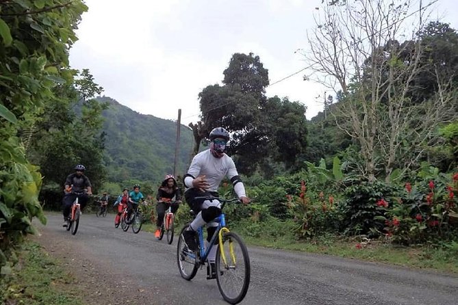 Blue Mountain Bicycle Tour From Kingston - Scenic Drive Into the Blue Mountains