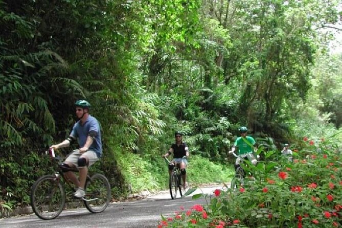 Blue Mountain Bicycle Tour From Runaway Bay - About Your Stay
