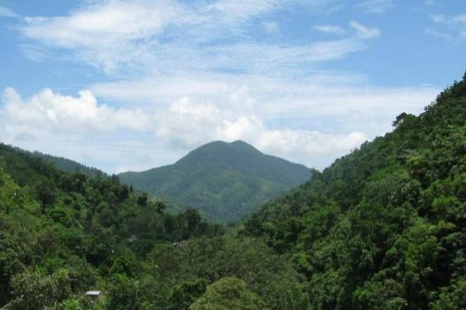 Blue Mountain Bicycle Tour From Runaway Bay - About Your Stay