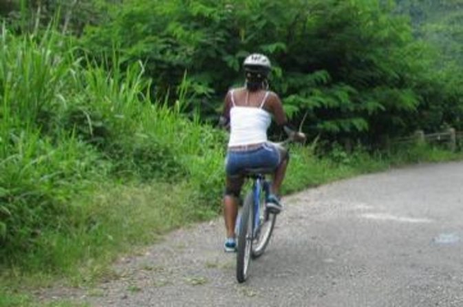 Blue Mountain Bicycle Tour From Runaway Bay - Meeting and Pickup