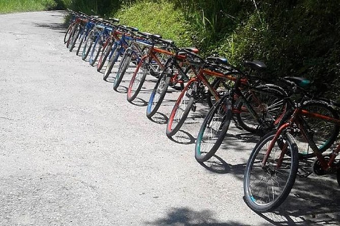 Blue Mountain Bicycle Tour From Runaway Bay - Fitness Considerations