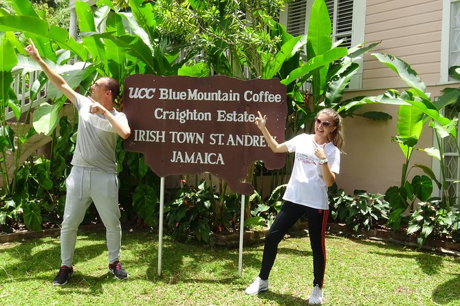 Blue Mountain Coffee and Sightseeing Tour - Scenic Drive Through Blue Mountains