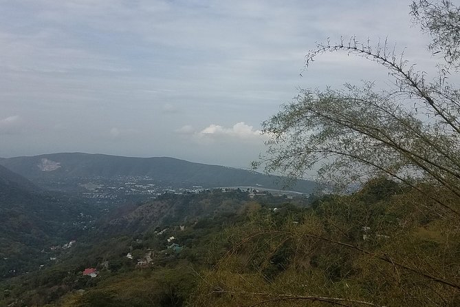Blue Mountain Coffee Tour From Ocho Rios - Exploring the Blue Mountains