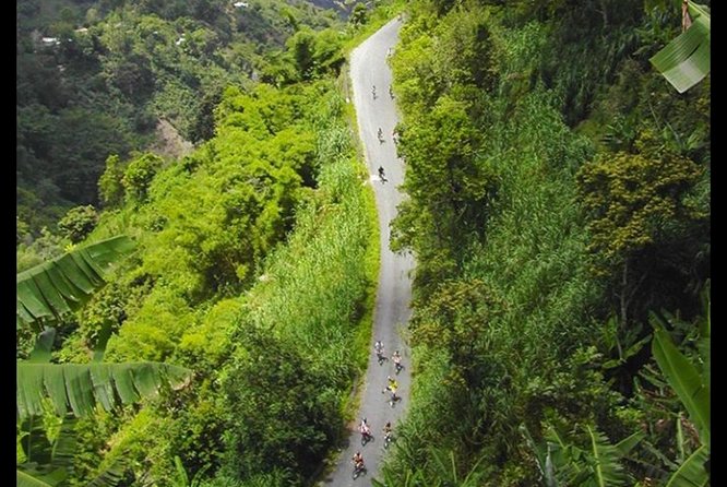 Blue Mountain Coffee Tour From Ocho Rios - Savoring the Coffee Experience