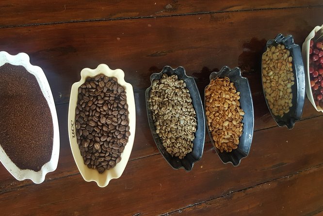 Blue Mountain Coffee Tour From Runaway Bay - Exploring the Local Flavors