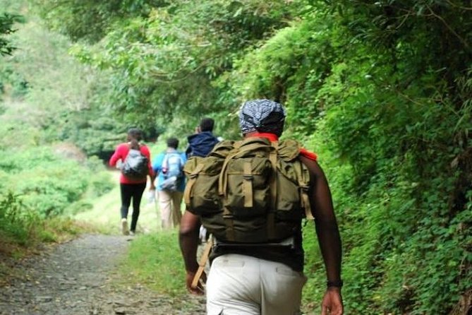 Blue Mountain Peak Hiking Tour From Kingston - Meeting and Pickup