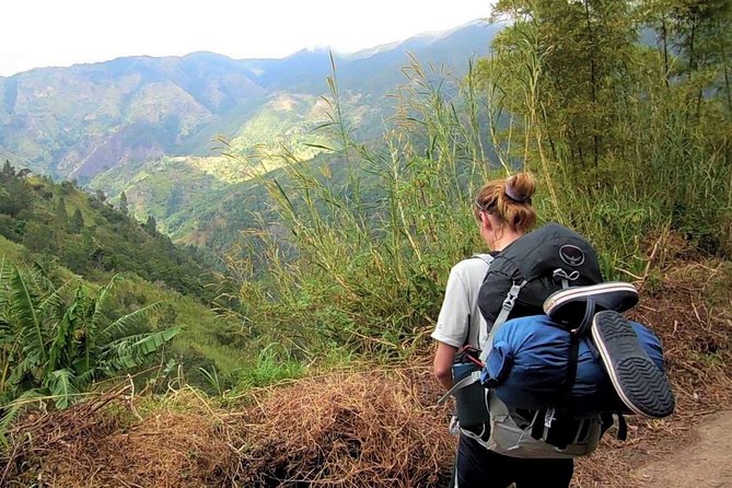 Blue Mountain Peak Hiking Tour From Kingston - Questions About Your Stay