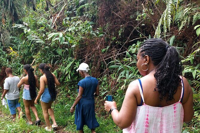 Blue Mountain Sight-Seeing & Nature Trail Hike with Private Guide - Key Points