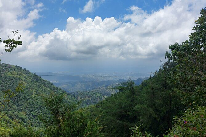 Blue Mountain Sight-Seeing & Nature Trail Hike with Private Guide - Frequently Asked Questions