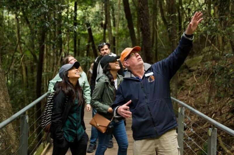 Blue Mountain Small Group Scenic World, Wildlife, Waterfall - Who Will Love This Tour?
