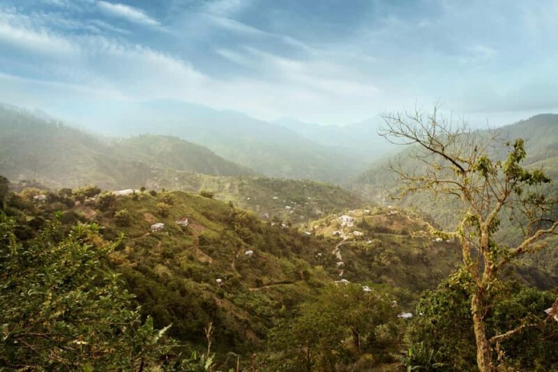Blue Mountain Tour: A Half-Day Escape from Kingston - Key Points