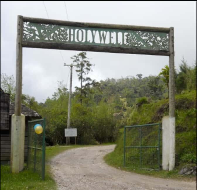 Blue Mountain Tour: A Half-Day Escape from Kingston - An In-Depth Look at the Blue Mountain Tour