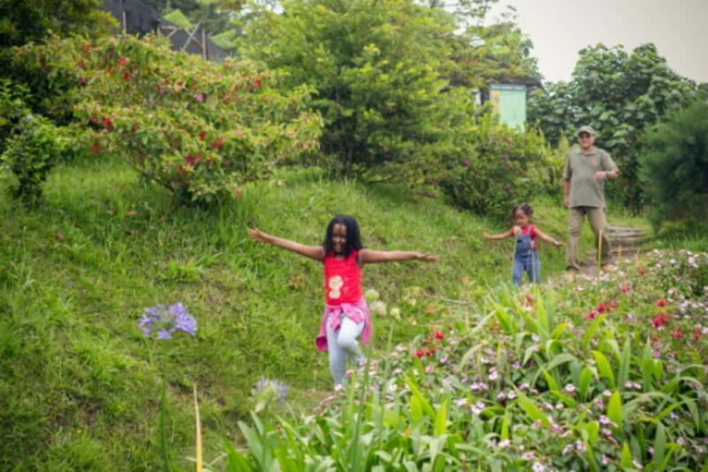 Blue Mountain Tour: A Half-Day Escape from Kingston - Who This Tour Is Best For