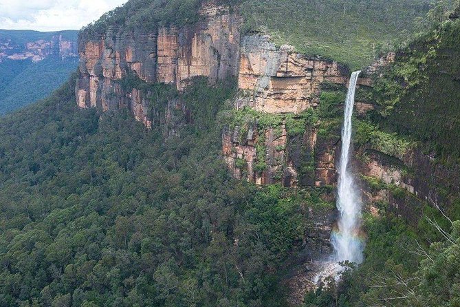 Blue Mountains 1-Hour Trike Tour of Three Sisters - Trike Specifications