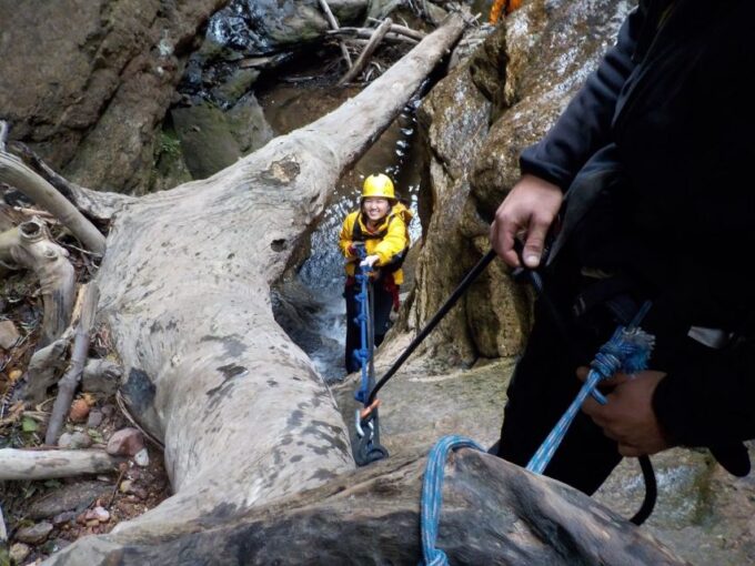 Blue Mountains: Abseiling or Canyoning Experience - Experience Highlights