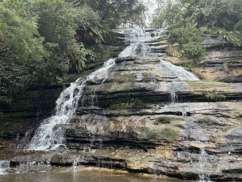 Blue Mountains Adventure: Scenic World, Zoo & Koala Photo - Sydney Zoo & Koala Photo