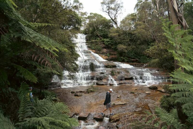 Blue Mountains Adventure: Scenic World, Zoo & Koala Photo - The Ferry Ride Ending the Day