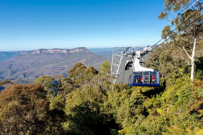 Blue Mountains Adventure w Scenic World, Zoo, Koala Photo & Ferry - Final Thoughts