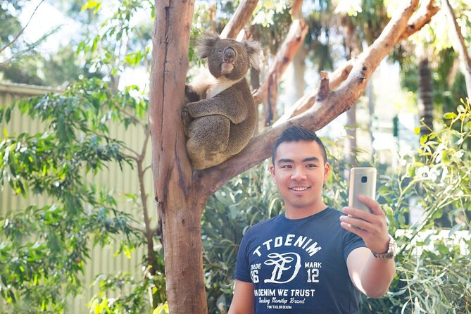 Blue Mountains Carbon Neutral Day Trip From Sydney - Featherdale Sydney Wildlife Park