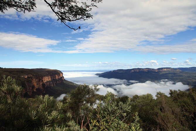 Blue Mountains Carbon Neutral Day Trip From Sydney - Katoomba Town