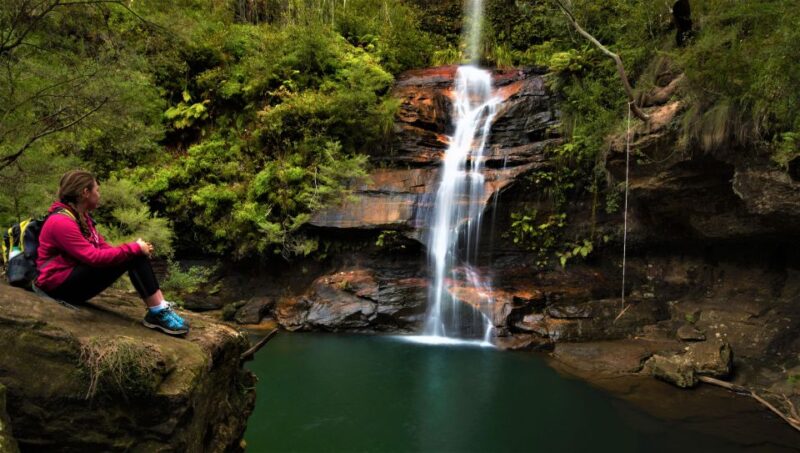 Blue Mountains Day, Sunset Tour & Glow Worms Night Adventure - Included Experiences