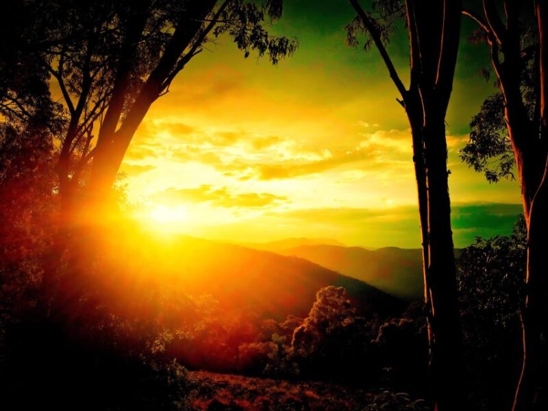 Blue Mountains Day, Sunset Tour & Glow Worms Night Adventure - What to Expect