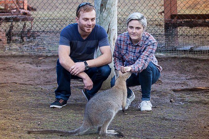 Blue Mountains Deluxe Small-Group Eco Wildlife Tour From Sydney - Midday Experiences