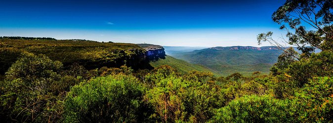 Blue Mountains Deluxe Small-Group Eco Wildlife Tour From Sydney - Additional Information