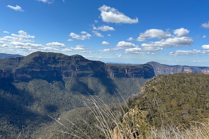 Blue Mountains Full Day Guided Tour - Traveler Reviews