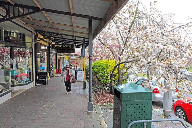 Blue Mountains Highlights, Wildlife Park and Scenic World Full Day Private Tour - Leura Village
