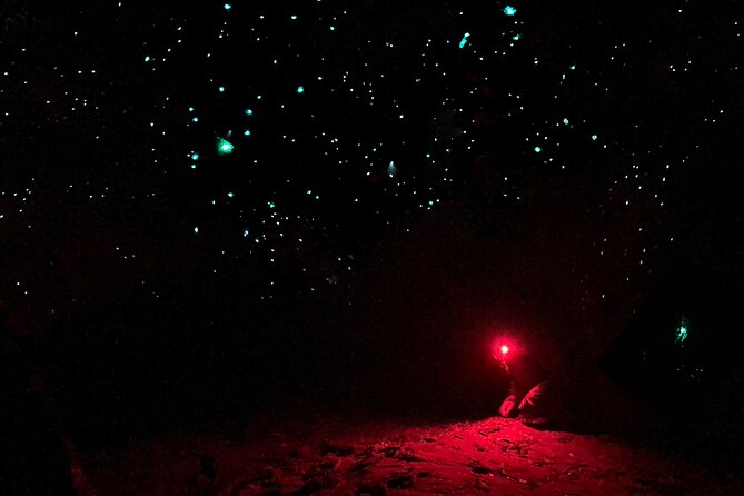 Blue Mountains Hiking Glow Worms Cave Wildlife Spotlighting Night Adventure - Whats Included