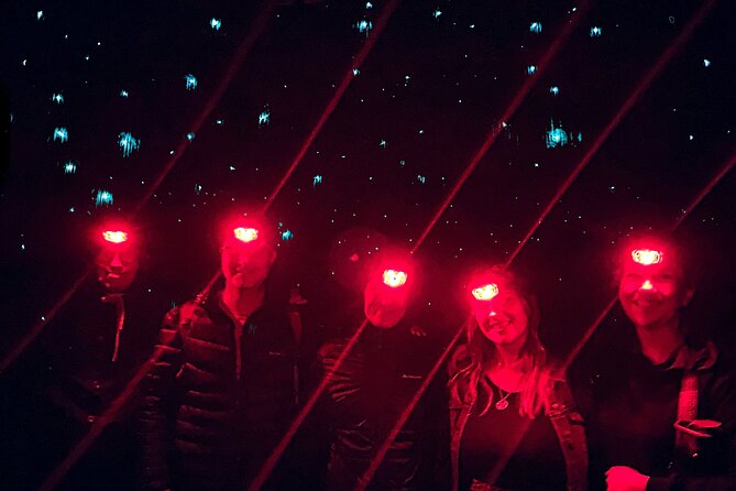 Blue Mountains Hiking Glow Worms Cave Wildlife Spotlighting Night Adventure - Guest Reviews