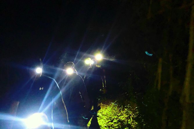 Blue Mountains Hiking Glow Worms Cave Wildlife Spotlighting Night Adventure - Additional Information